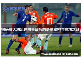 对手