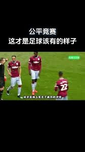 言冬窗行情