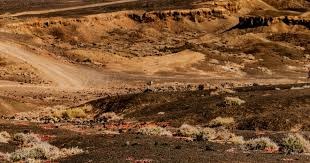 浓眉：弗拉格在琢磨如何在高压下打好球，把球稳稳传给队友